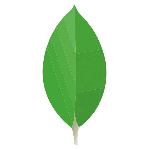 mongodb